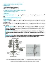 Trắc nghiệm Sinh học 11 - Bài 37 Sinh trưởng và phát triển ở thực vật và động vật (Có đáp án và lời giải)